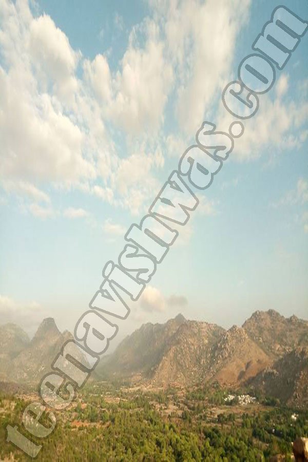 horsley-hills-escort